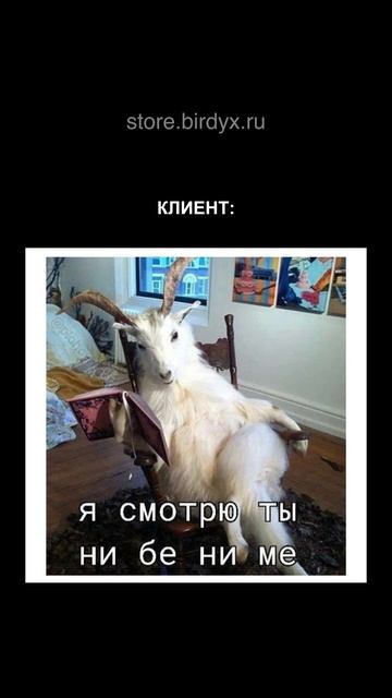 Shorts | Excel и Google Sheets | BIRDYX