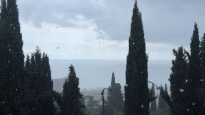 Ялта. Дождь! И какой... Ура! Синоптики в прогнозе на ЮБК, не ошиблись! 09.07.2026. Крым. Crimea. Yal