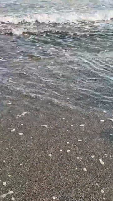Море смотреть онлайн