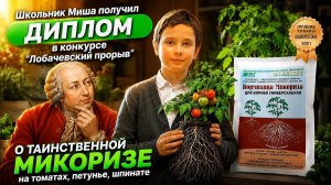 Микориза реально работает? Школьник проверил на томатах — результаты удивили!