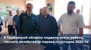 В Тамбовской области подвели итоги работы лесного хозяйства за первое полугодие 2026-го