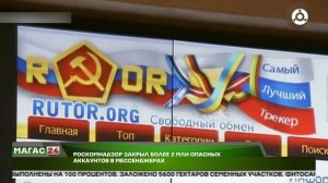 Роскомнадзор заблокировал более 2 млн опасных аккаунтов в мессенджерах за 2025 год