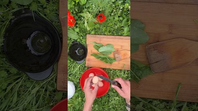 Campfire Eggs with Fresh Herbs | Simple Village Breakfast - Wild Taste🍳 смотреть онлайн