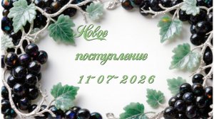 Новое поступление 11-07-2026