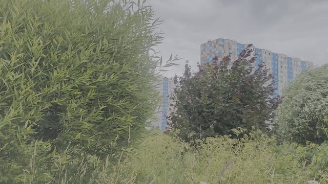 Волга Лайв Тверь.mp4 смотреть онлайн