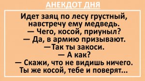Идет заяц по лесу грустный, навстречу ему медведь... | Анекдоты смешные | Юмор