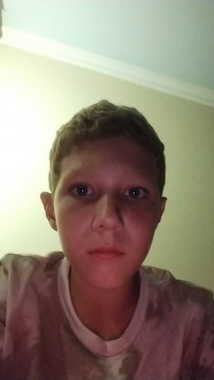 играю 99 ночей в лесу