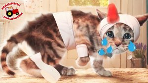 Приключенческие развивающие игры Little Kitten для дошкольников iOS Play Fun Cute Kitten О