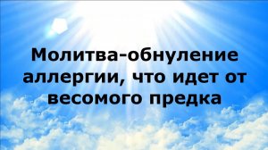 МОЛИТВА-ОБНУЛЕНИЕ АЛЛЕРГИИ, ЧТО ИДЕТ ОТ ВЕСОМОГО ПРЕДКА #наянабелосвет