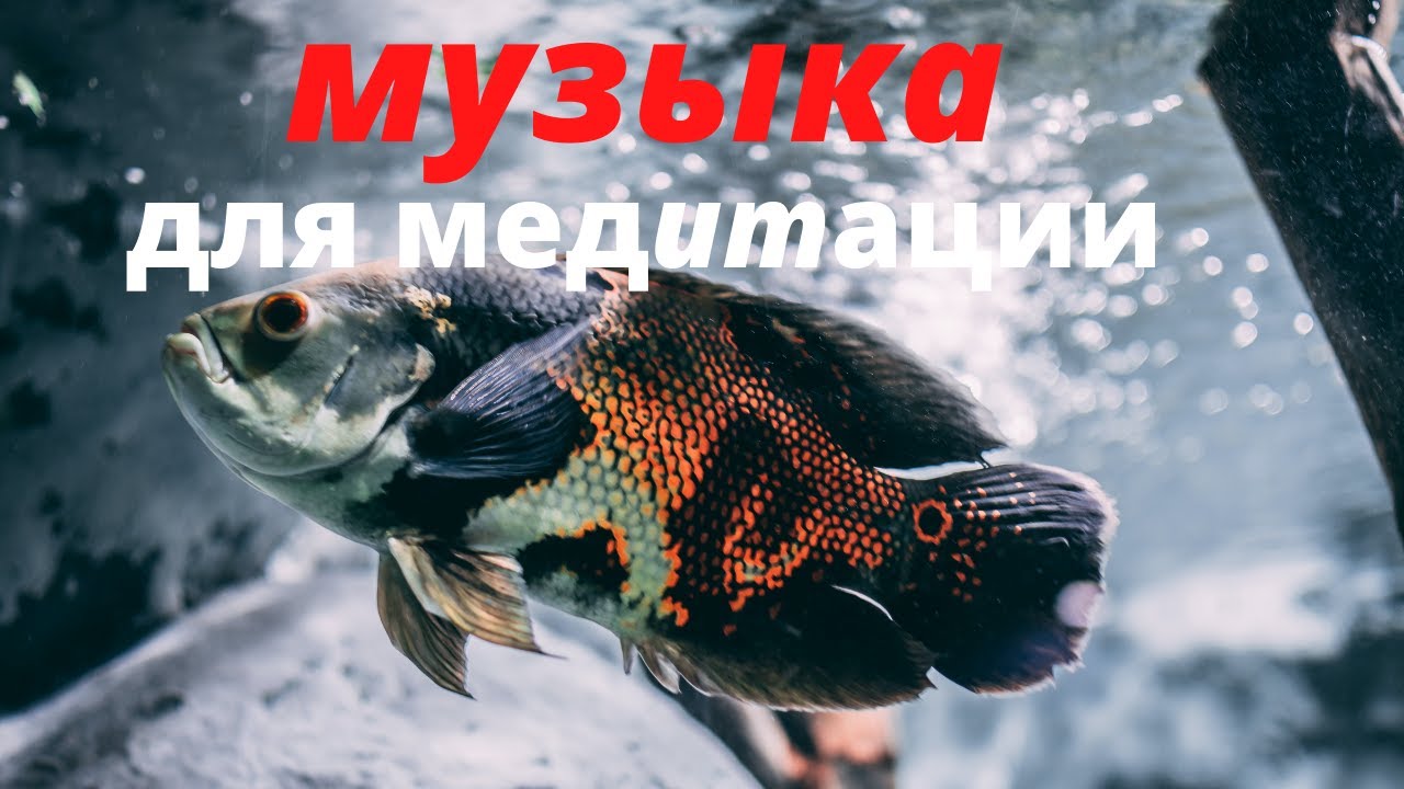 музыка для медитации | релаксация спокойная музыка смотреть онлайн