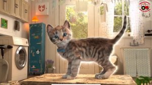 МАЛЕНЬКИЙ КОТЕНОК мультик игра как мультфильм для маленьких детей мальчиков девочек Litt