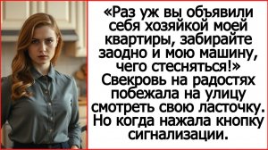 Истории из жизни. Свекровь, забирайте заодно и мою машину, чего стесняться.  Жизненные истории.