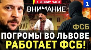 Погромы во Львове Работает ФСБ Ствол для Урсулы Поляк помог России Французы кошмарят Дурова