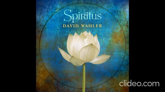 Дэвид Уолер Spiritus смотреть онлайн