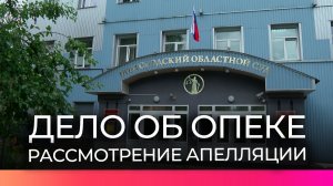 Новгородский областной суд начал рассмотрение апелляционной жалобы по резонансному делу об опеке