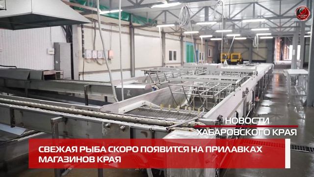 АВРОРА⭕ДАЙДЖЕСТ