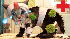Приключения маленького котенка мультик про котят мультик для детей и малышей на #ММ