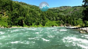 Катунь , от устья р.Зеленка до с.Мараловодка