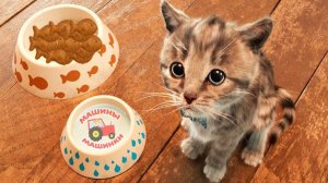 ПРИКЛЮЧЕНИЕ МАЛЕНЬКОГО КОТЕНКА мультфильм про котят Радугарог мультик для детей мультики