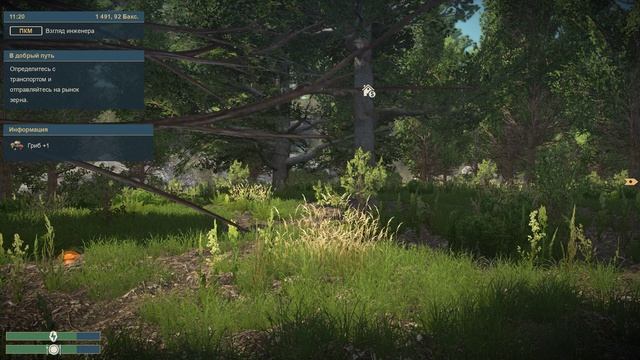 Farmers Dynasty 2 Собираю грибы и целебные травы...