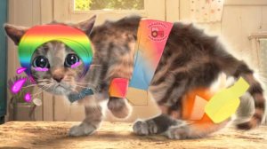 Приключения маленького котенка мультик игра для маленьких детей! #игровой мультфильм нов