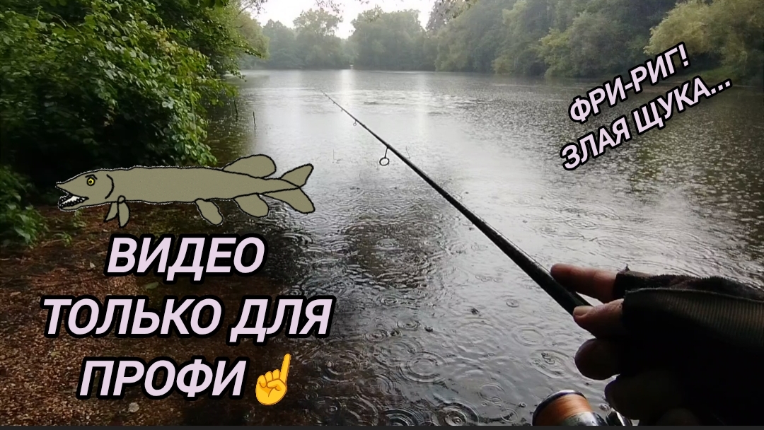 ЩУКА В ВОСТОРГЕ ОТ ВСТРЕЧИ СО МНОЙ/РЫБАЛКА ЛЕТОМ 2026 СПИННИНГ МИКРОДЖИГ РАКИ ФРИ РИГ смотреть онлайн