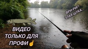 ЩУКА В ВОСТОРГЕ ОТ ВСТРЕЧИ СО МНОЙ/РЫБАЛКА ЛЕТОМ 2026 СПИННИНГ МИКРОДЖИГ РАКИ ФРИ РИГ