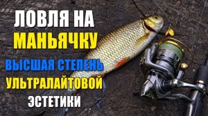 ловля на маньячку-поймал голавля и окуня