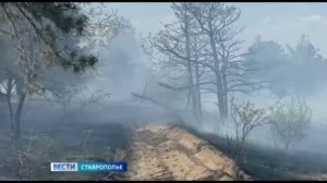 Скрытые угрозы летнего отдыха: важную тему обсудили на пресс‑конференции в ГТРК «Ставрополье»