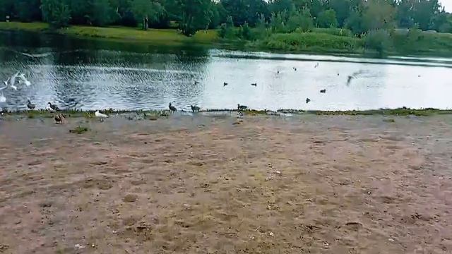 Будем жить!!!👍💯☺️ смотреть онлайн