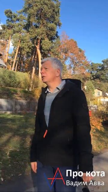 Про кота, Вадим Авва, читает автор смотреть онлайн