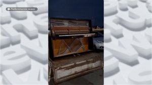 День с Толком 10.07.2026
