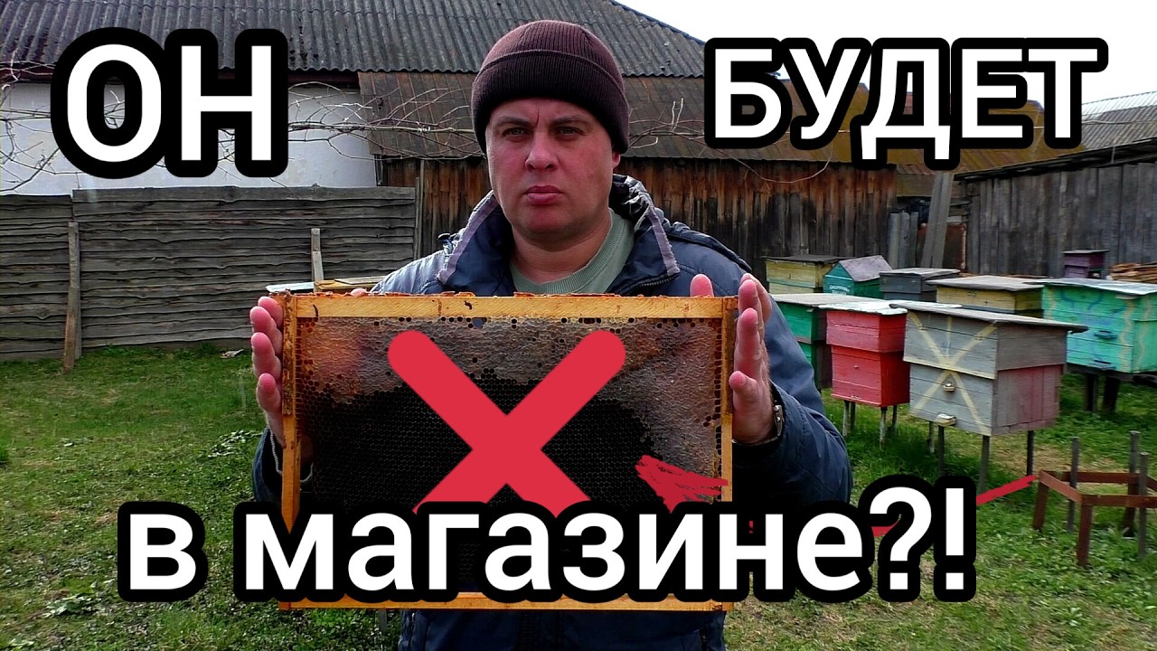 НЕ ДЕЛАЙ ТАК ИНАЧЕ ОН ПОПАДЁТ В МАГАЗИН смотреть онлайн