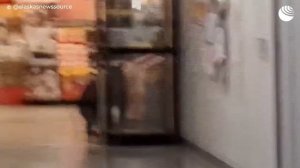 Медведь украл персик из кафетерия на американской военной базе на Аляске.