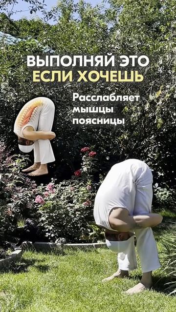 Вытягивание позвоночника