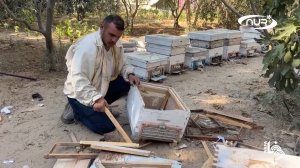 Мед в Газе: что делает этот палестинец!