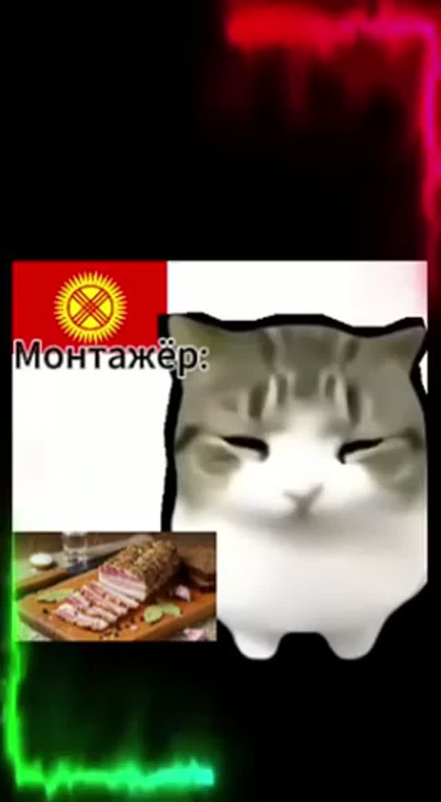 Милый котик танцует вторая часть