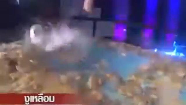 Девушка-бассейн-змеи-песня смотреть онлайн