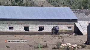 Режим ЧС введен в Гергебильском районе
