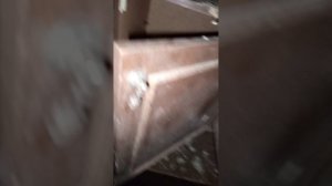 Пробрались в подвалы общяги.