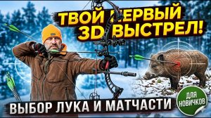Блочный лук для 3D-стрельбы: Полный гид по выбору лука и матчасти для новичков