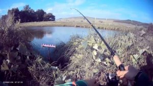 Рыбалка на реке Усень на фидер🎣 Прикормка Жмых-Дробленка. Наживка навозный червь, опарыш, перловка.