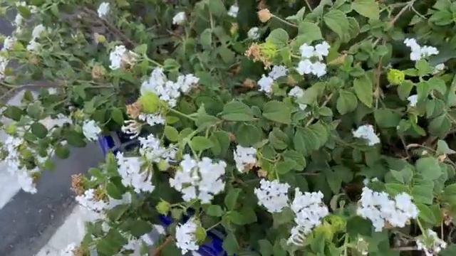 1000069141.mp4 смотреть онлайн