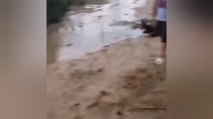 Сильнейший смерч пронёсся над Рязанской областью. Циклон всё ближе к Москве.