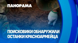 85 лет в списках пропавших: поисковый отряд нашёл солдата времён начала войны. Панорама