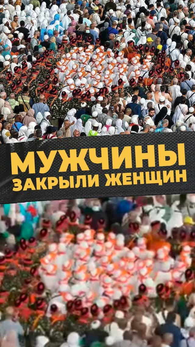 ОРГАНИЗОВАННЫЕ ПАЛОМНИКИ #мирадио