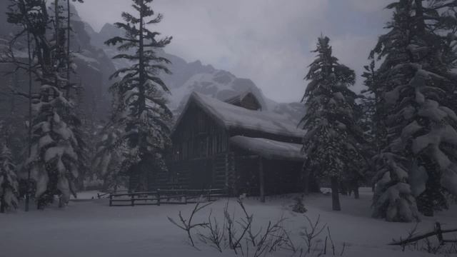 The cabin in wood