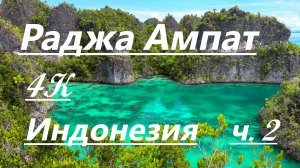 Индонезия-2026, Раджа Ампат (Raja Ampat) лучшие в мире рифы и подводный мир