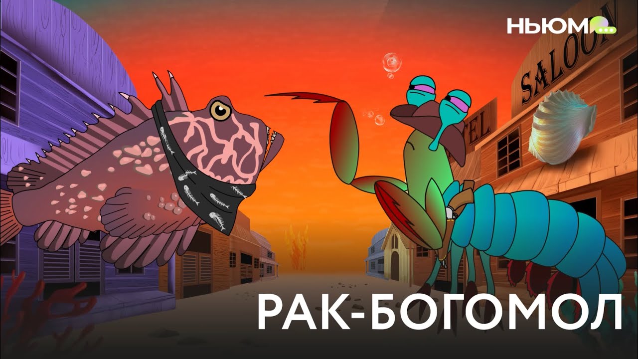 Рак-богомол — боксёр подводного мира смотреть онлайн