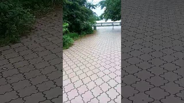 стрим смотреть онлайн